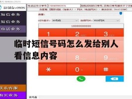 临时短信号码怎么发给别人看信息内容