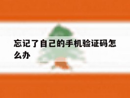 忘记了自己的手机验证码怎么办