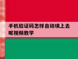 手机验证码怎样自动填上去呢视频教学