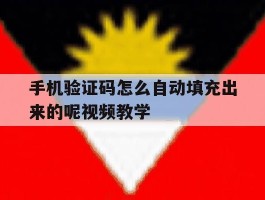 包含手机验证码怎么自动填充出来的呢视频教学的词条