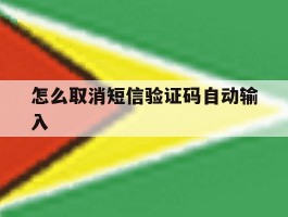 怎么取消短信验证码自动输入