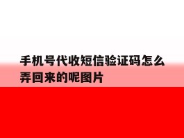手机号代收短信验证码怎么弄回来的呢图片
