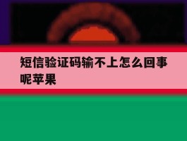 短信验证码输不上怎么回事呢苹果