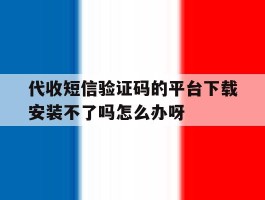 代收短信验证码的平台下载安装不了吗怎么办呀的简单介绍