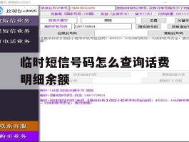 临时短信号码怎么查询话费明细余额