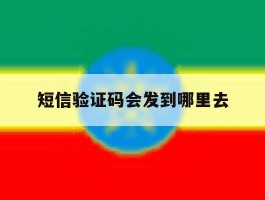 短信验证码会发到哪里去