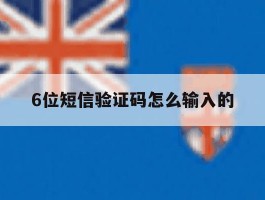 6位短信验证码怎么输入的