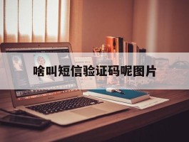 啥叫短信验证码呢图片
