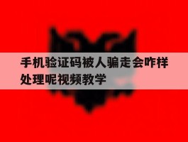 手机验证码被人骗走会咋样处理呢视频教学