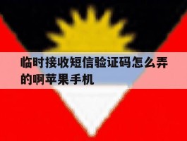 关于临时接收短信验证码怎么弄的啊苹果手机的信息
