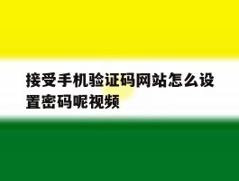 接受手机验证码网站怎么设置密码呢视频