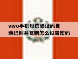 vivo手机短信验证码自动识别并复制怎么设置密码的简单介绍