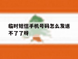 临时短信手机号码怎么发送不了了呀