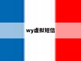 wy虚拟短信
