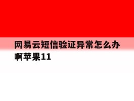 关于网易云短信验证异常怎么办啊苹果11的信息