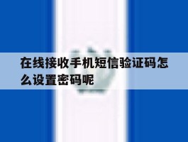在线接收手机短信验证码怎么设置密码呢