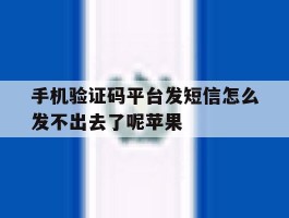 手机验证码平台发短信怎么发不出去了呢苹果的简单介绍