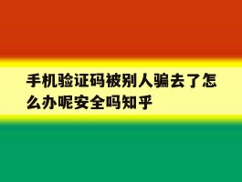 手机验证码被别人骗去了怎么办呢安全吗知乎的简单介绍