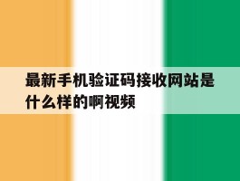 最新手机验证码接收网站是什么样的啊视频
