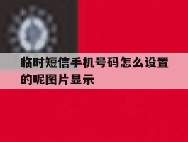 临时短信手机号码怎么设置的呢图片显示