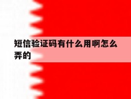 短信验证码有什么用啊怎么弄的