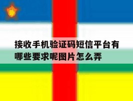 接收手机验证码短信平台有哪些要求呢图片怎么弄