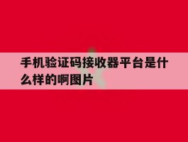 关于手机验证码接收器平台是什么样的啊图片的信息