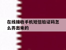 在线接收手机短信验证码怎么弄出来的