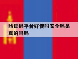 验证码平台好使吗安全吗是真的吗吗