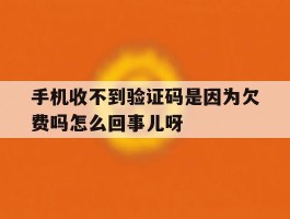 关于手机收不到验证码是因为欠费吗怎么回事儿呀的信息
