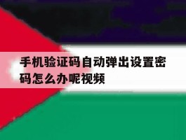 手机验证码自动弹出设置密码怎么办呢视频