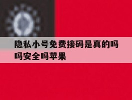 隐私小号免费接码是真的吗吗安全吗苹果