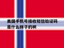 美国手机号接收短信验证码是什么样子的啊