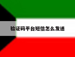 验证码平台短信怎么发送