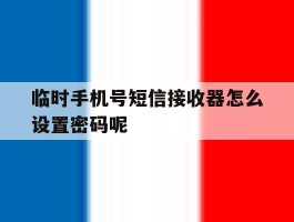 临时手机号短信接收器怎么设置密码呢