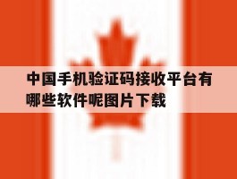 中国手机验证码接收平台有哪些软件呢图片下载的简单介绍