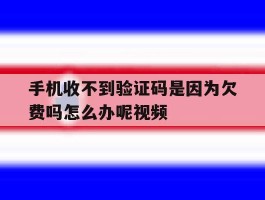 手机收不到验证码是因为欠费吗怎么办呢视频