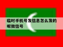 临时手机号发信息怎么发的呢微信号