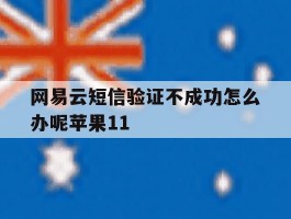 网易云短信验证不成功怎么办呢苹果11的简单介绍