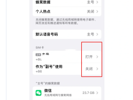 关于临时手机号怎么申请副卡流量呢苹果13的信息