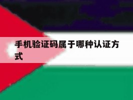 手机验证码属于哪种认证方式
