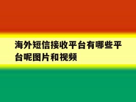 海外短信接收平台有哪些平台呢图片和视频的简单介绍