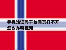 手机验证码平台网页打不开怎么办呀视频