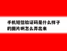 包含手机短信验证码是什么样子的图片啊怎么弄出来的词条