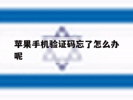 苹果手机验证码忘了怎么办呢
