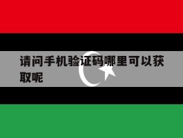 请问手机验证码哪里可以获取呢