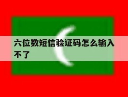 六位数短信验证码怎么输入不了