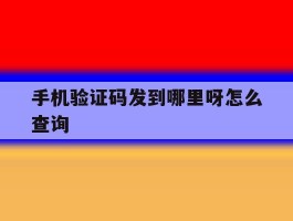 手机验证码发到哪里呀怎么查询
