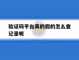 验证码平台真的假的怎么查记录呢