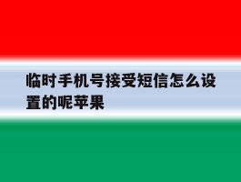临时手机号接受短信怎么设置的呢苹果